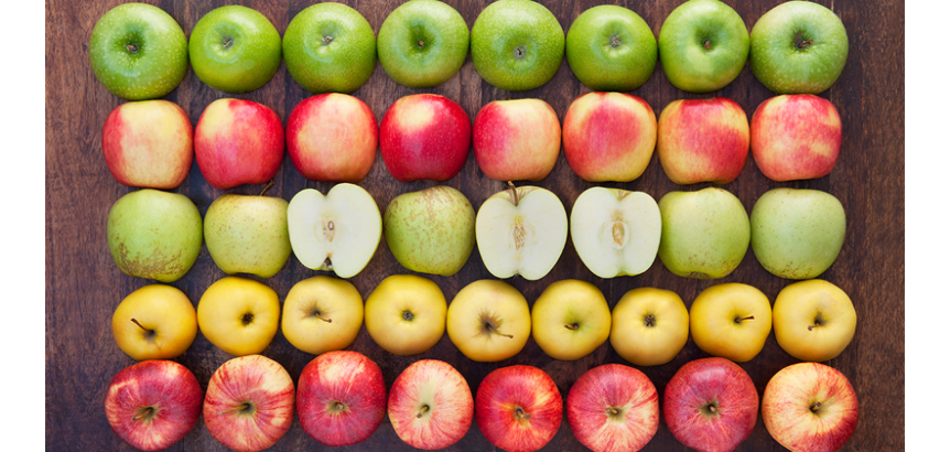 DO YOU KNOW ABOUT APPLES?